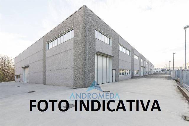 quadrivano in vendita a Frignano