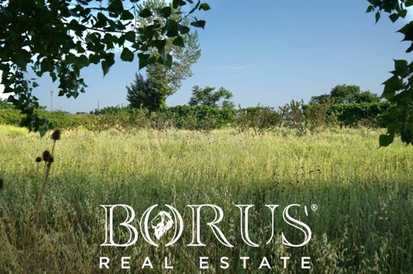 terreno agricolo in vendita a Frignano