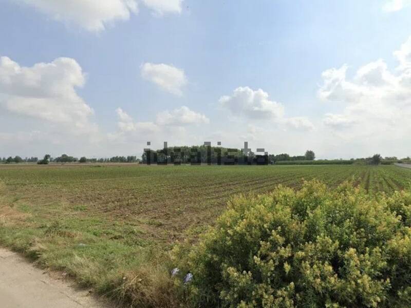 terreno agricolo in vendita a Frignano