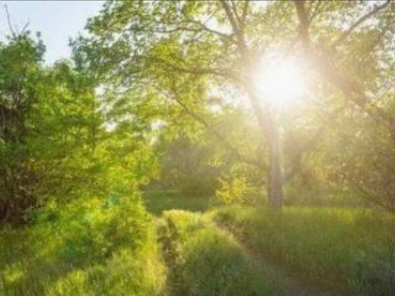 terreno agricolo in vendita a Giano Vetusto