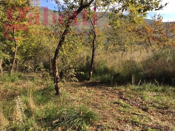 terreno agricolo in vendita a Giano Vetusto