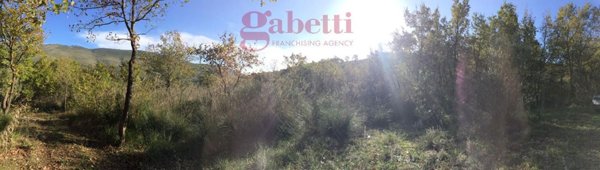 terreno agricolo in vendita a Giano Vetusto