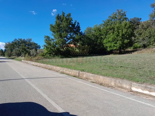 terreno agricolo in vendita a Giano Vetusto
