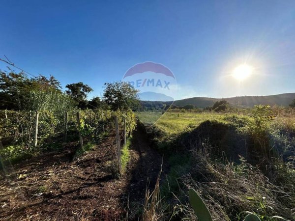 terreno agricolo in vendita a Giano Vetusto