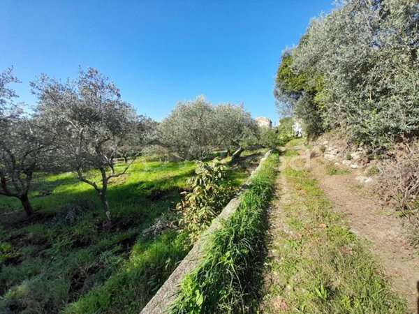 terreno agricolo in vendita a Giano Vetusto