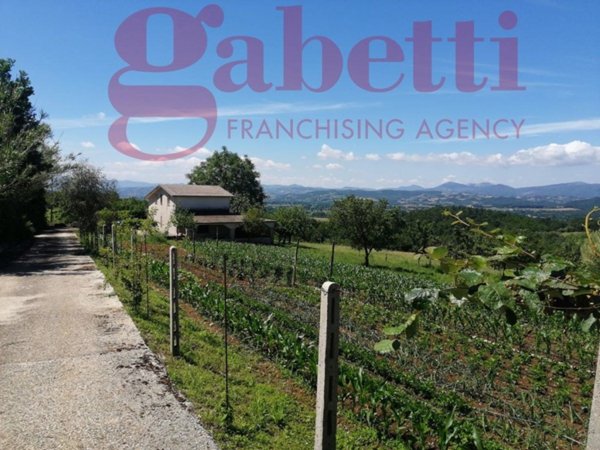 casa indipendente in vendita a Gioia Sannitica in zona Gioia