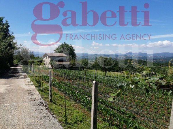 casa indipendente in vendita a Gioia Sannitica