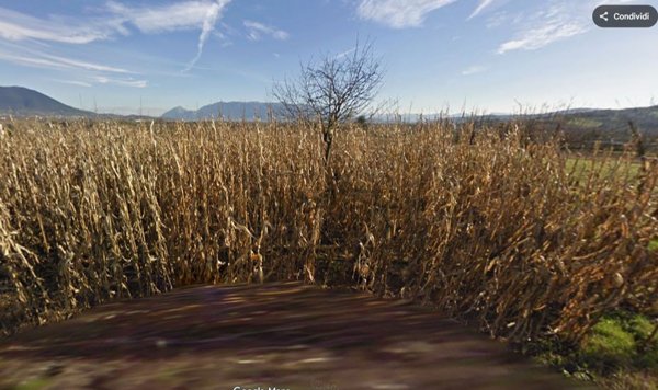 terreno agricolo in vendita a Gioia Sannitica
