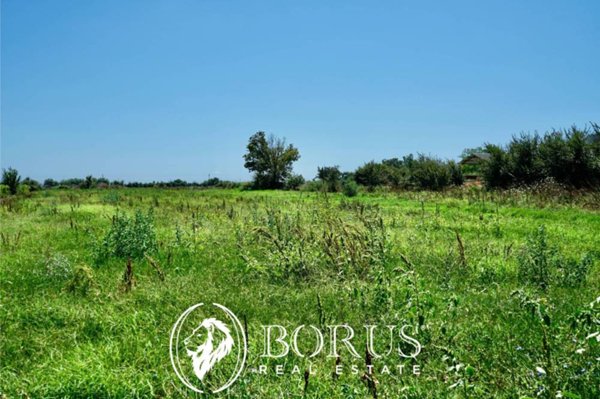 terreno agricolo in vendita a Grazzanise