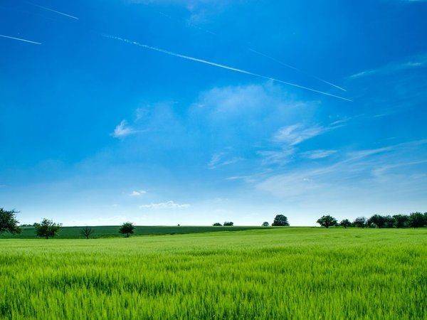 terreno agricolo in vendita a Grazzanise