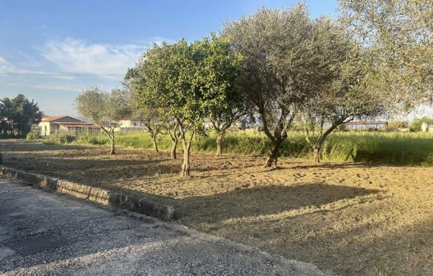 terreno agricolo in vendita a Grazzanise in zona Brezza