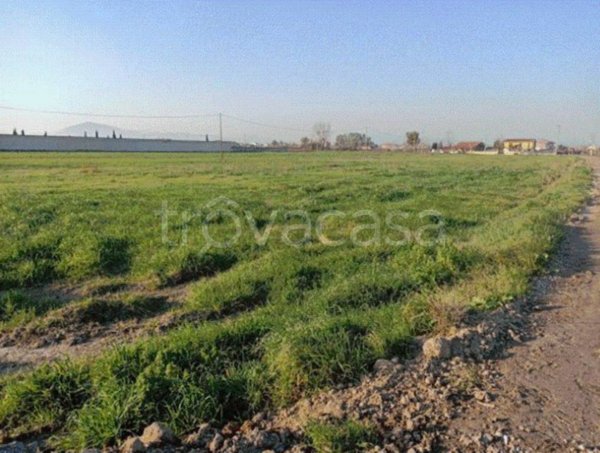 terreno agricolo in vendita a Grazzanise