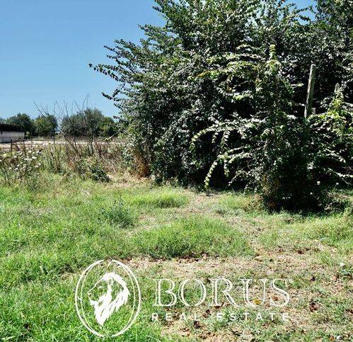 terreno agricolo in vendita a Grazzanise