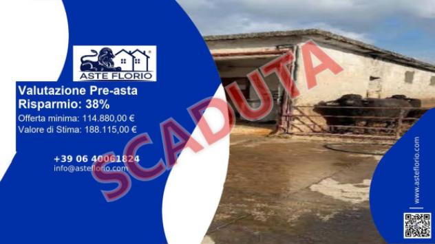 pentavano in vendita a Grazzanise in zona Brezza