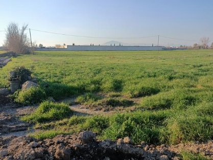 terreno agricolo in vendita a Grazzanise