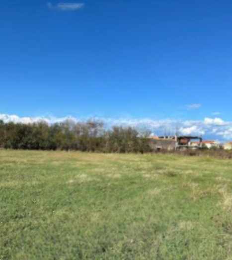 terreno agricolo in vendita a Grazzanise