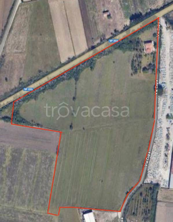 terreno agricolo in vendita a Grazzanise