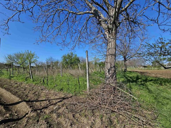 terreno agricolo in vendita a Gricignano di Aversa
