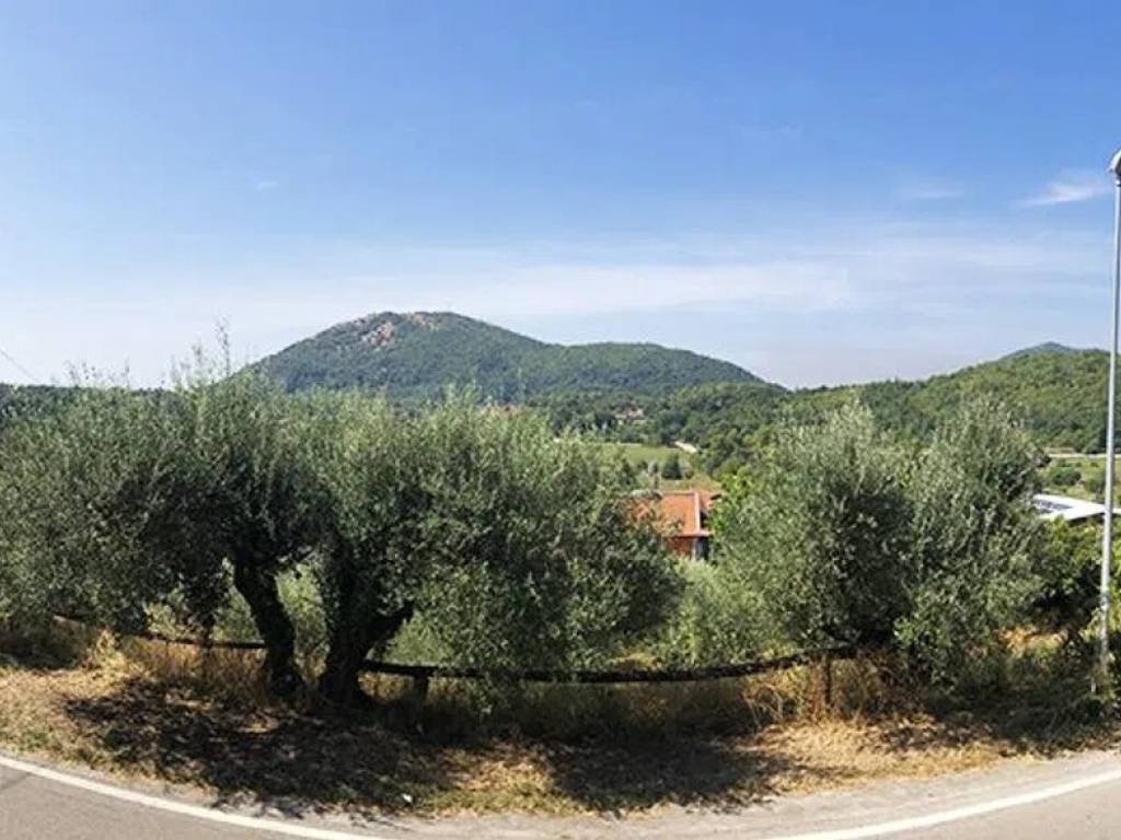 intera palazzina in vendita a Liberi