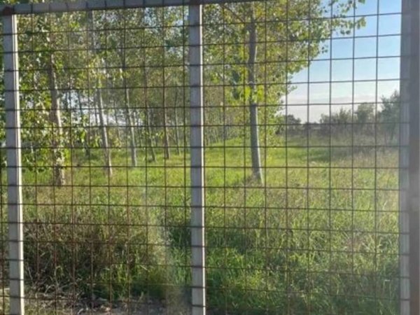 terreno agricolo in vendita a Lusciano