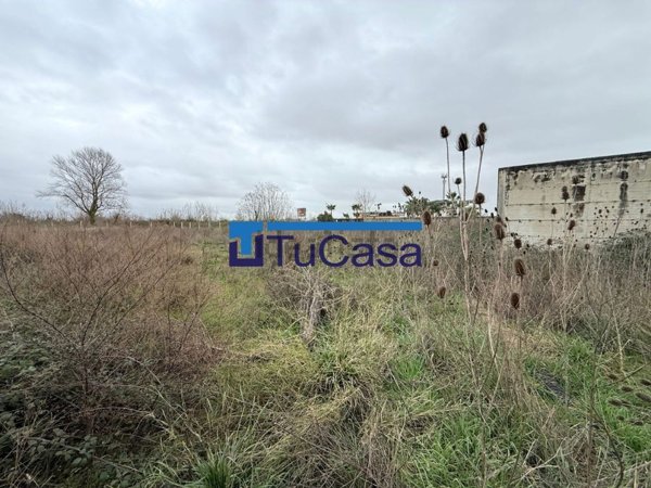terreno agricolo in vendita a Lusciano