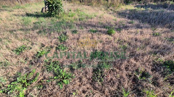 terreno edificabile in vendita a Macerata Campania