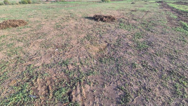 terreno agricolo in vendita a Macerata Campania in zona Caturano