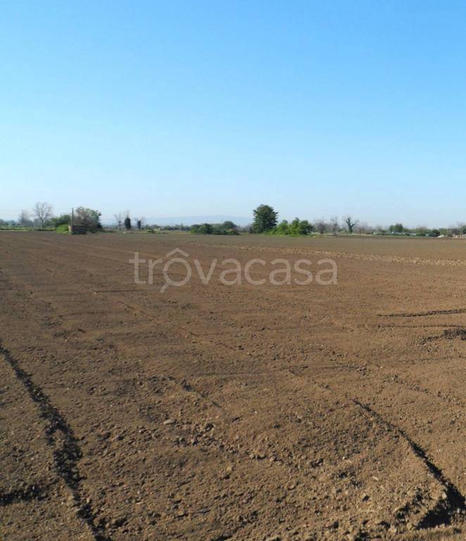 terreno agricolo in vendita a Macerata Campania