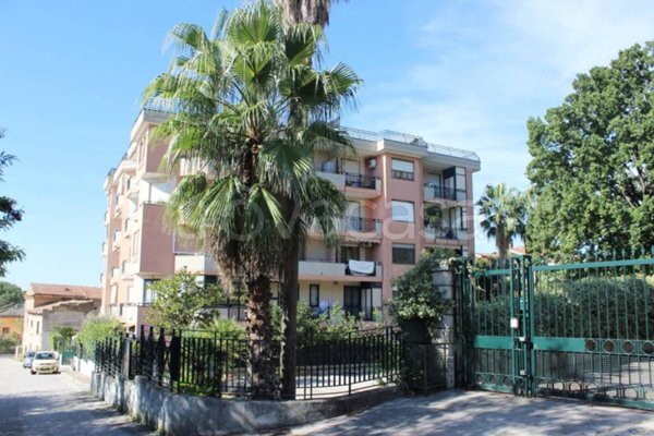 appartamento in vendita a Maddaloni