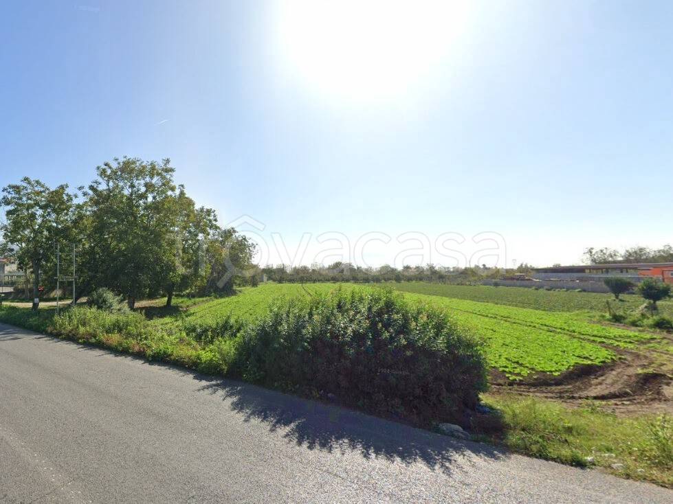 terreno agricolo in vendita a Maddaloni in zona Montedecoro