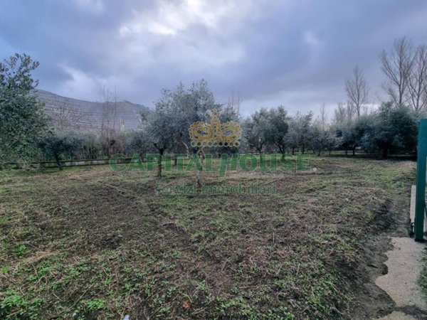 terreno agricolo in vendita a Maddaloni