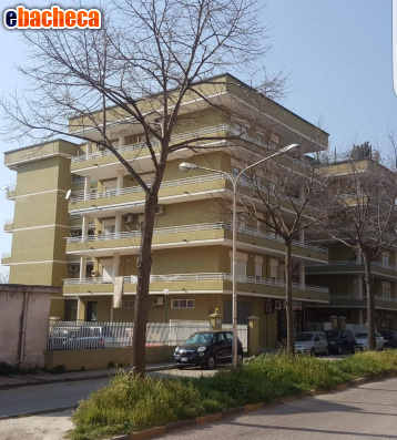 appartamento in vendita a Maddaloni