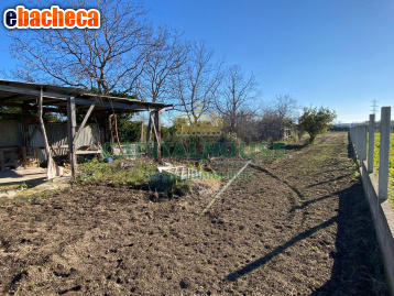 terreno agricolo in vendita a Maddaloni