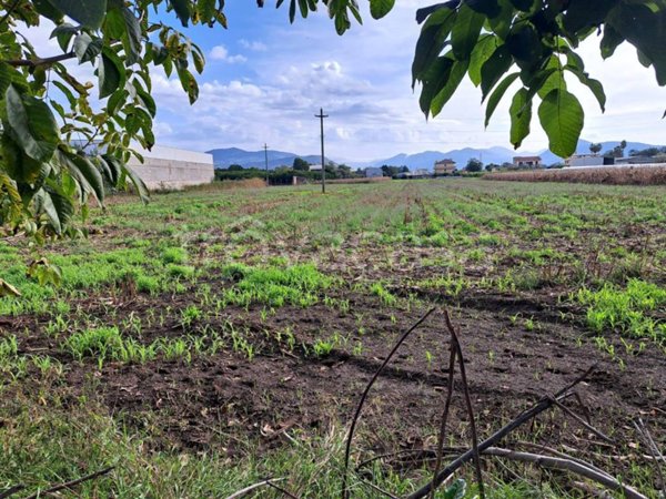 terreno agricolo in vendita a Maddaloni