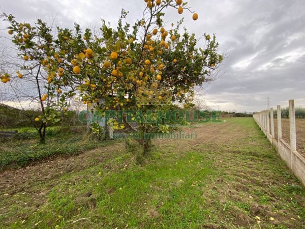 terreno agricolo in vendita a Maddaloni