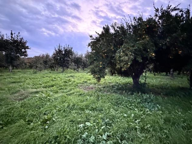 terreno agricolo in vendita a Maddaloni
