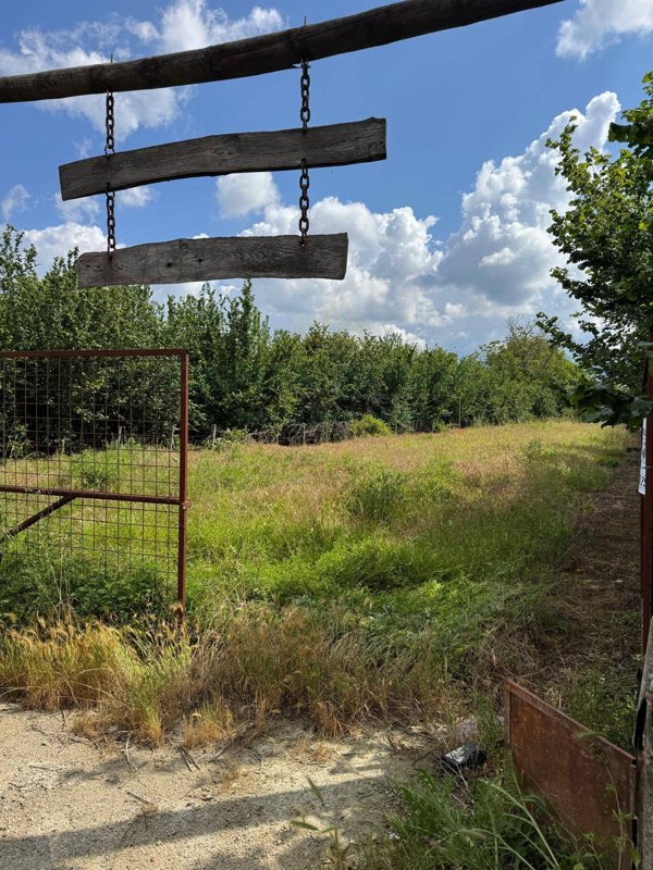 terreno agricolo in vendita a Maddaloni
