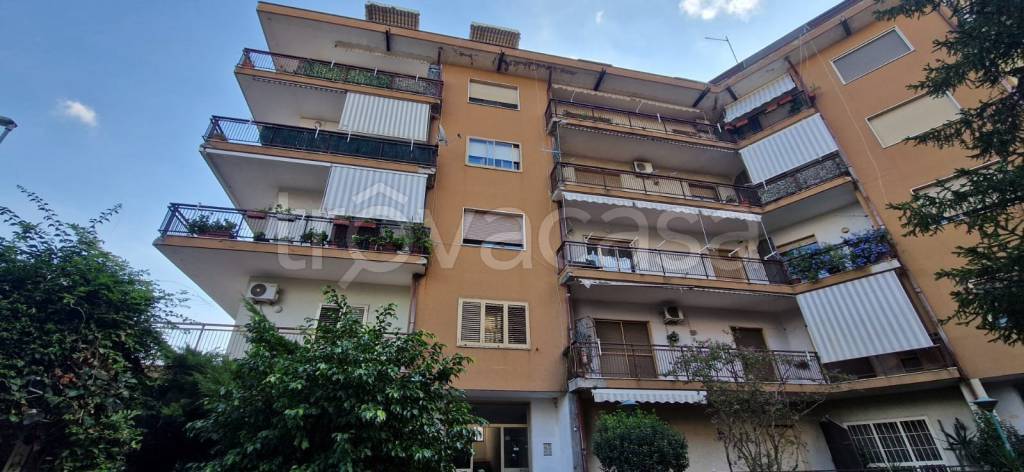 appartamento in vendita a Maddaloni