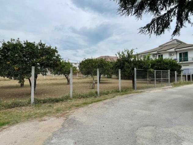 terreno agricolo in vendita a Maddaloni
