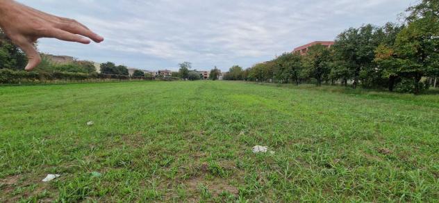terreno agricolo in vendita a Maddaloni
