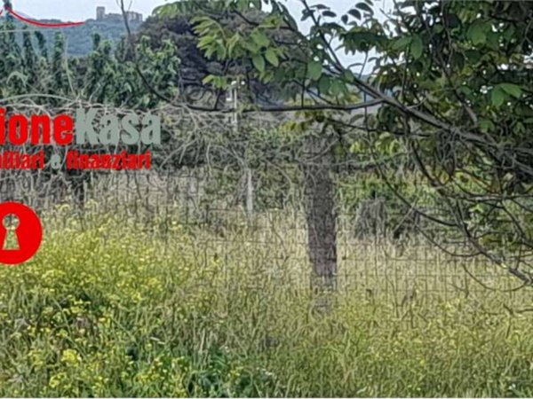 terreno agricolo in vendita a Maddaloni