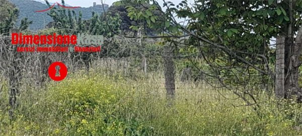 terreno agricolo in vendita a Maddaloni
