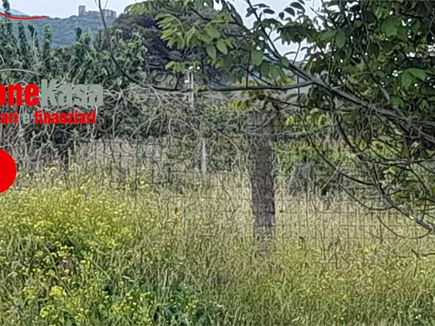 terreno agricolo in vendita a Maddaloni