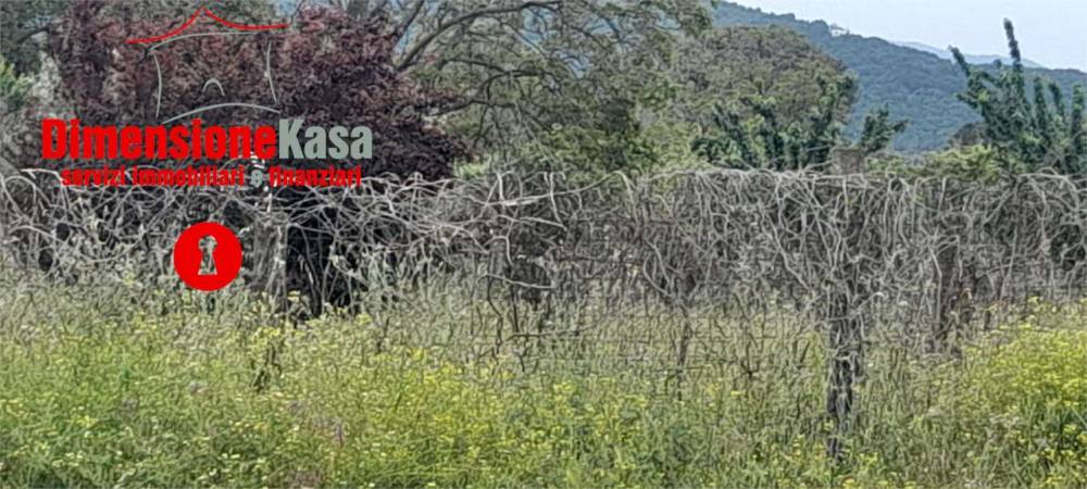 negozio in vendita a Maddaloni