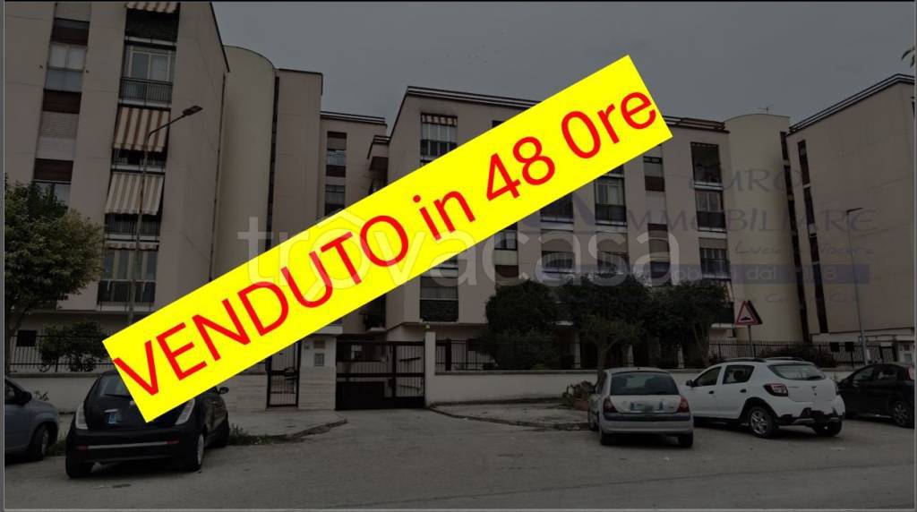 appartamento in vendita a Maddaloni