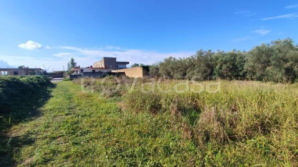 terreno agricolo in vendita a Maddaloni