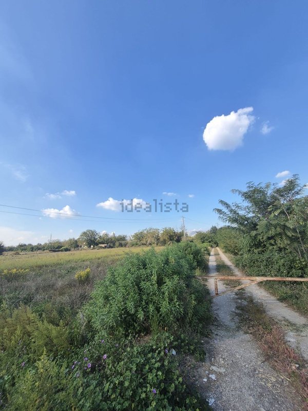 terreno agricolo in vendita a Maddaloni