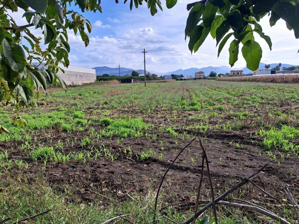 terreno edificabile in vendita a Maddaloni