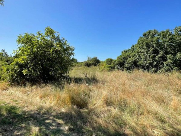 terreno agricolo in vendita a Maddaloni