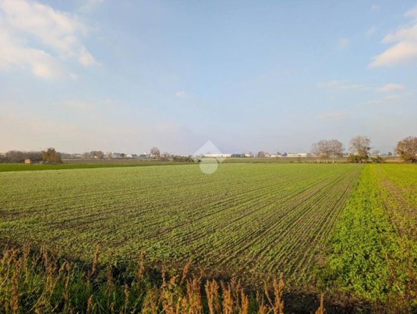 terreno agricolo in vendita a Maddaloni